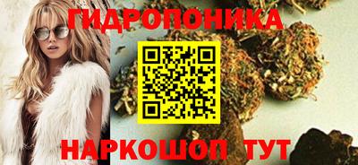 скорость Кимры
